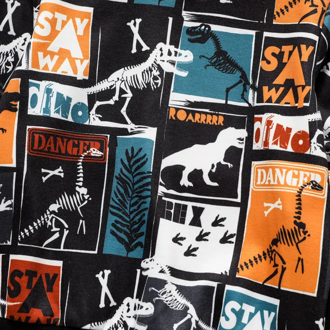 Toddler Boys Colorblock Dinosaur & Cami Pent T-shirt & Pants.