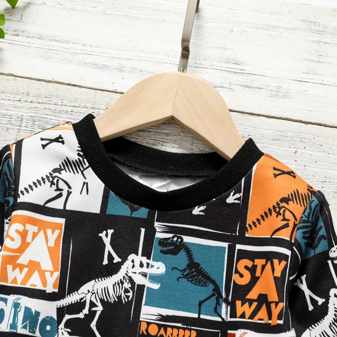 Toddler Boys Colorblock Dinosaur & Cami Pent T-shirt & Pants.